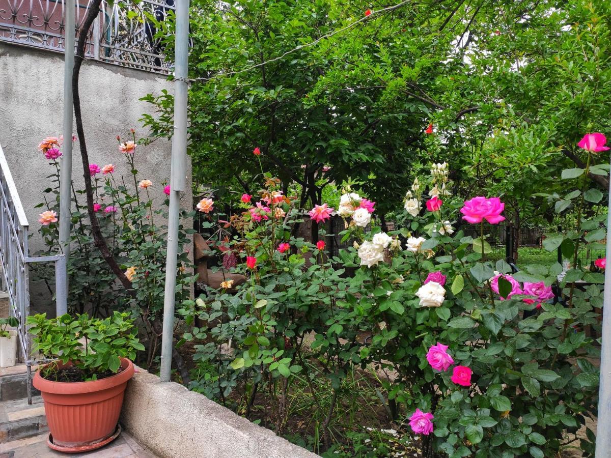 Guesthouse Ttt Tbilisi Exteriér fotografie